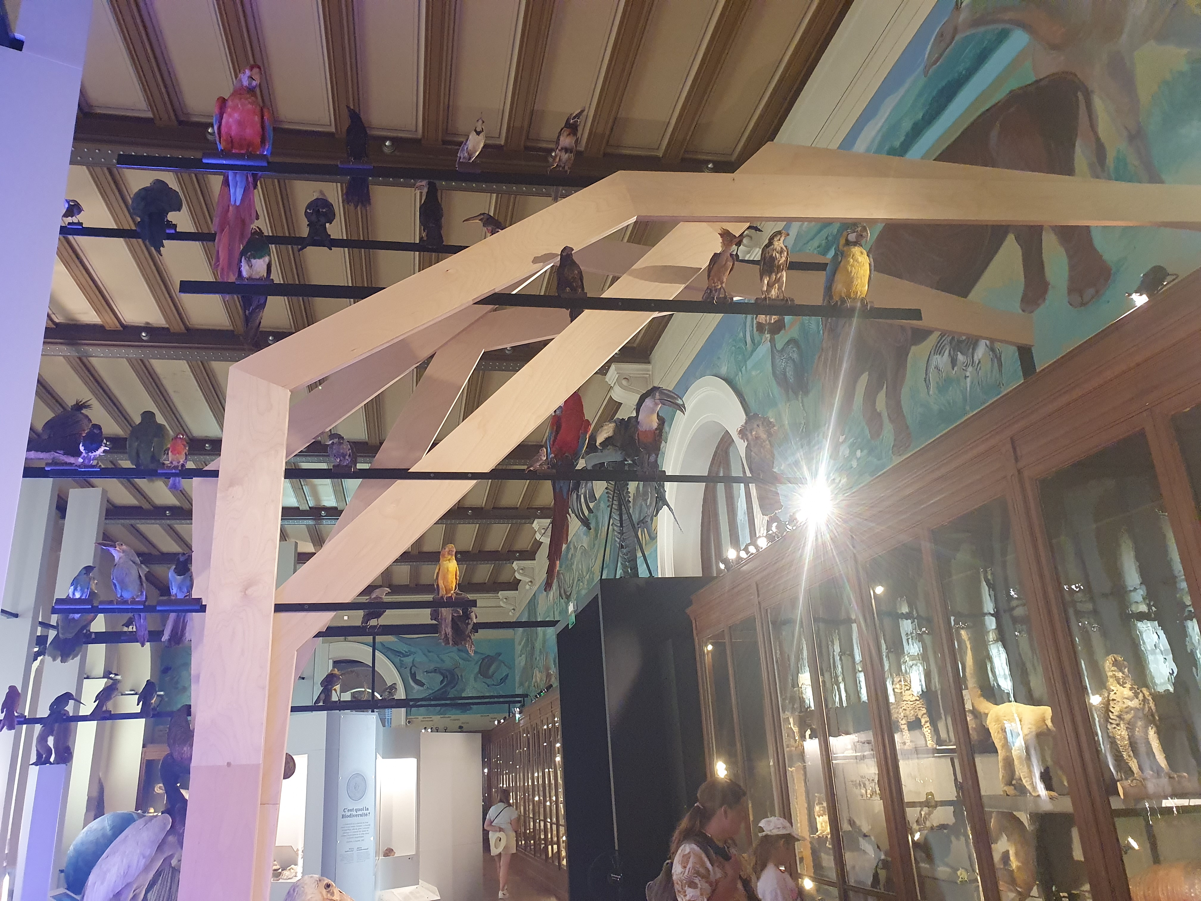 Photo n° 12 de l'avis de daniel.a fait le 13/07/2022 à 07:41