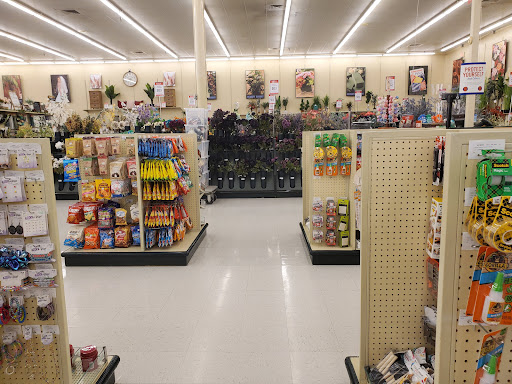 Craft Store «Hobby Lobby», reviews and photos, 12680 Fountain Lake Cir, Stafford, TX 77477, USA