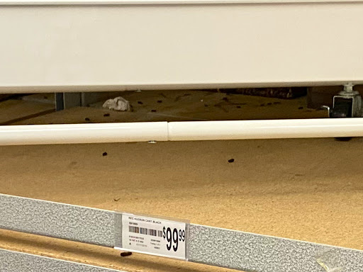 Craft Store «Michaels», reviews and photos, 2901 Rio Grande Blvd #700, Euless, TX 76039, USA