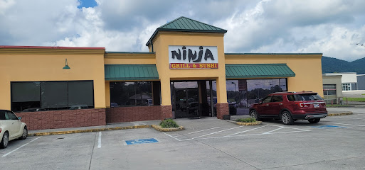Ninja Hibachi Grill