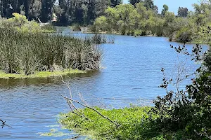 Pinto Lake County Park image