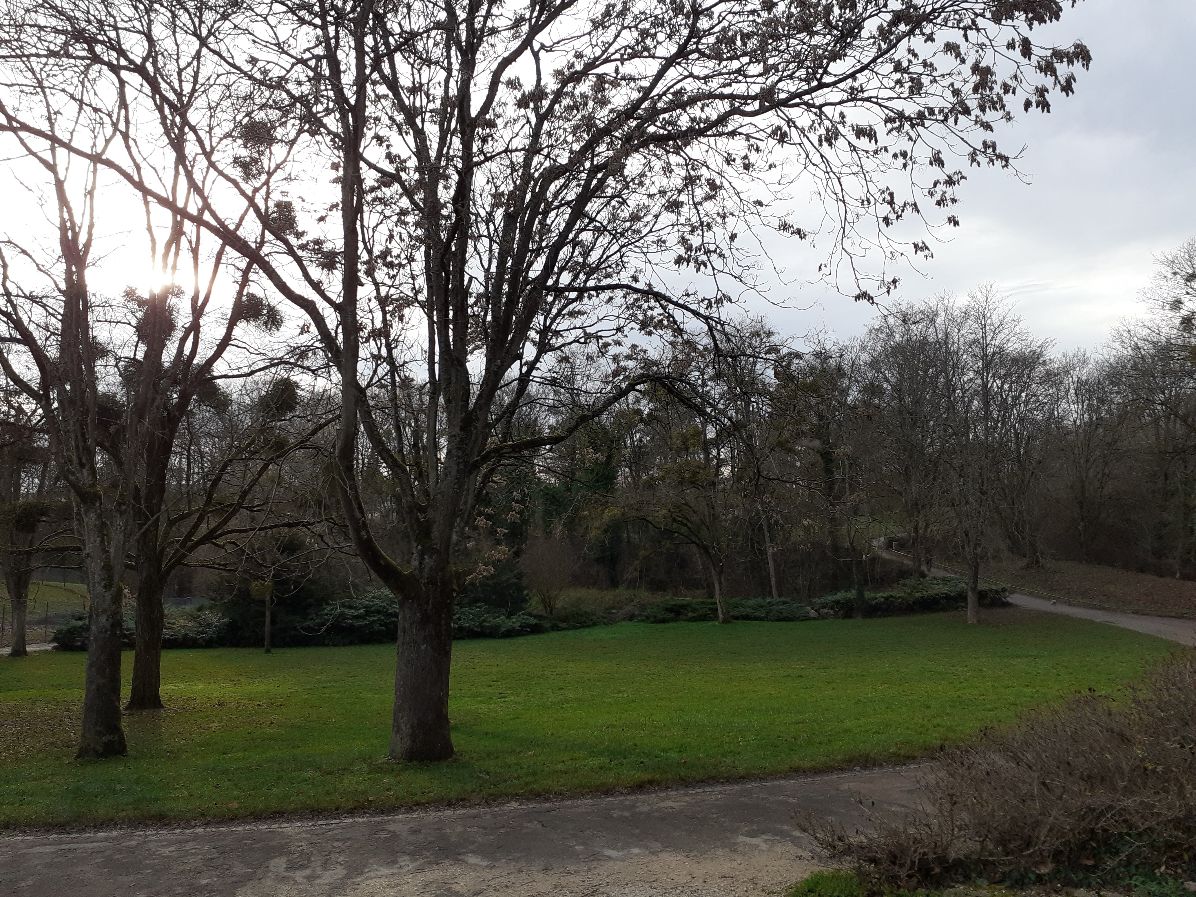 Photo n° 9 de l'avis de Christian.u fait le 19/12/2019 à 14:22