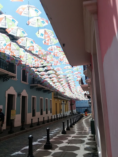 The Butterfly People @ Puerto Rican Art and Crafts