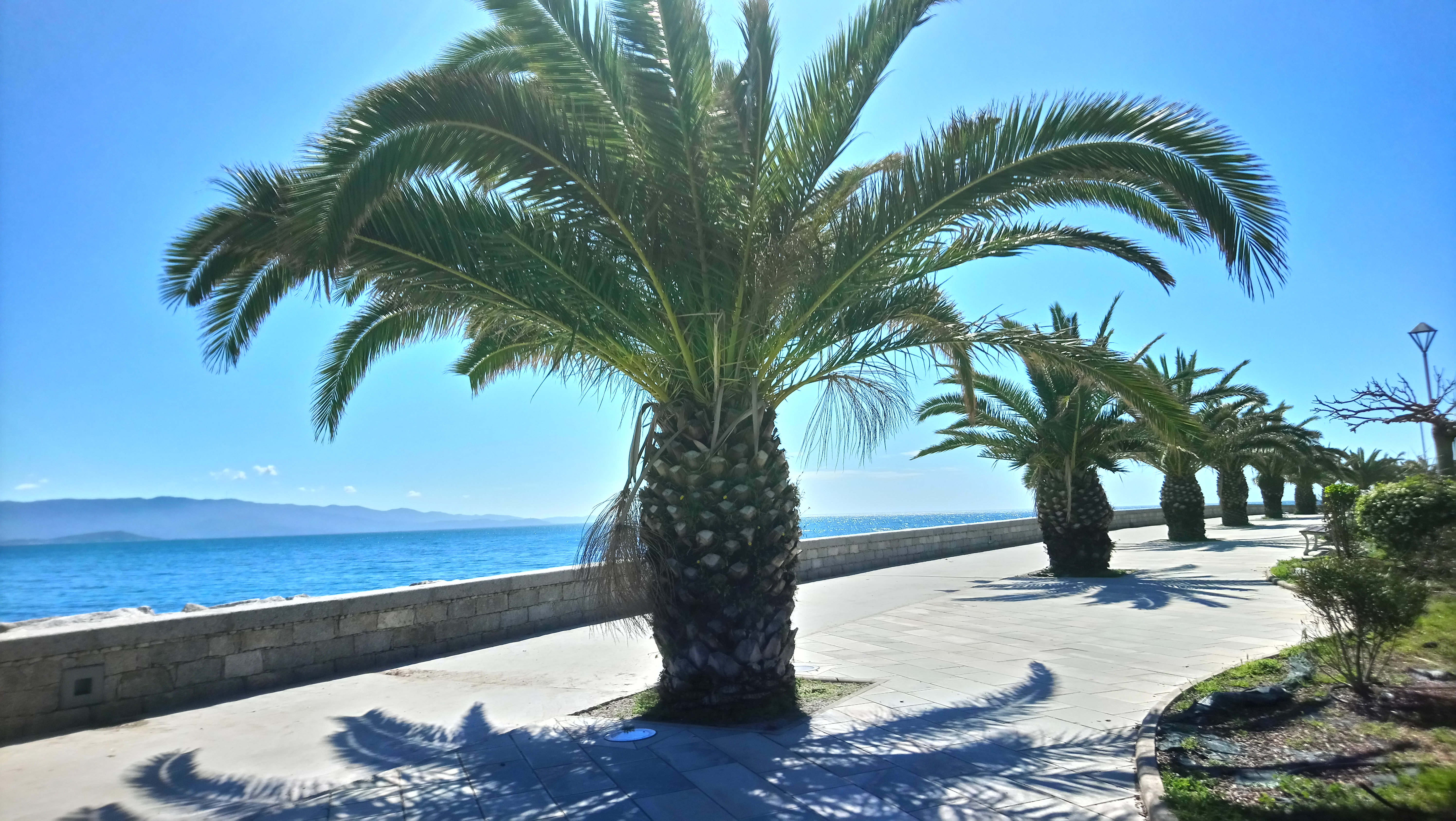 Photo n° 2 de l'avis de Phil.e fait le 21/02/2019 à 16:19