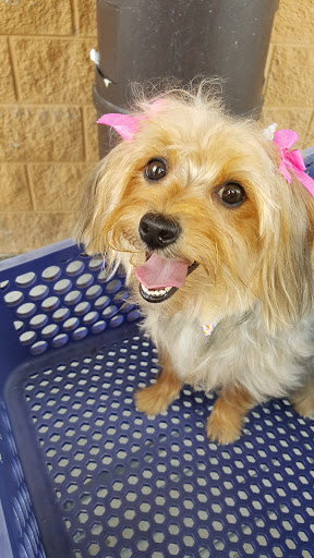 Pet Supply Store «PetSmart», reviews and photos, 45 Park Pl Dr, Covington, LA 70433, USA