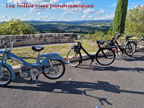 Vintage Cyclomoteurs 81 à Larroque