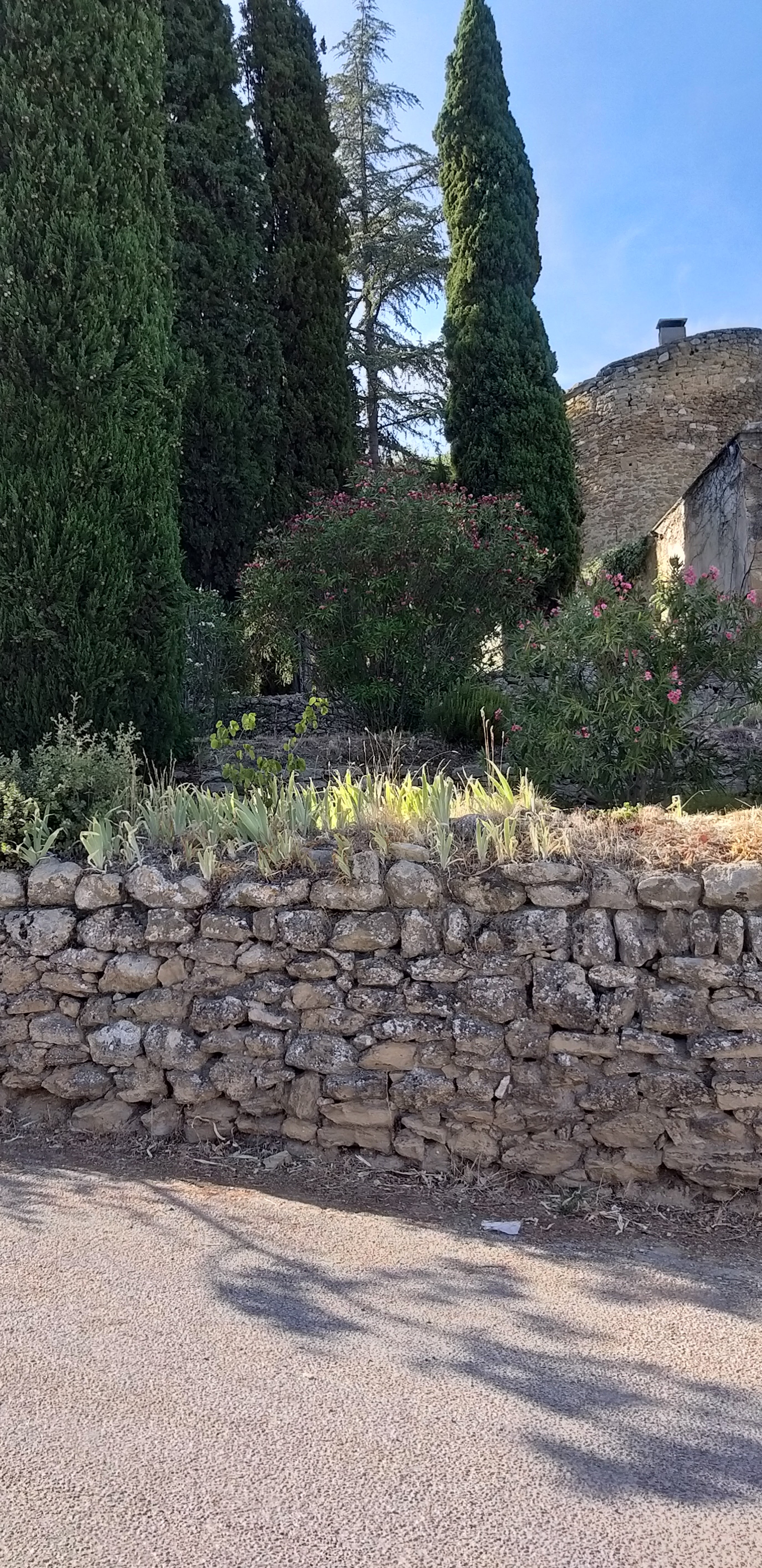 Photo n° 1 de l'avis de unmecdesannees80. fait le 27/08/2019 à 18:09