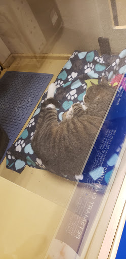 Pet Supply Store «PetSmart», reviews and photos, 315 W Rte 70, Marlton, NJ 08053, USA