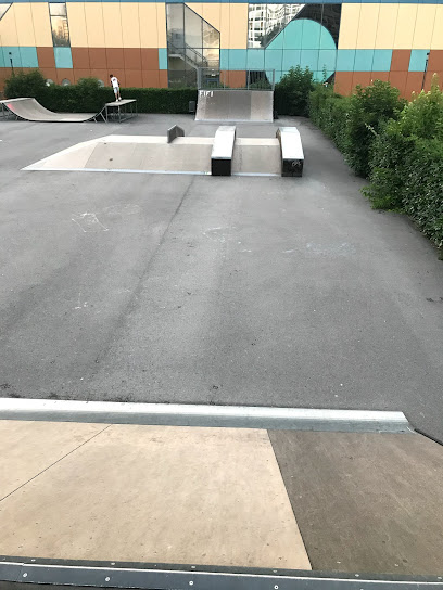Meyrin Skatepark