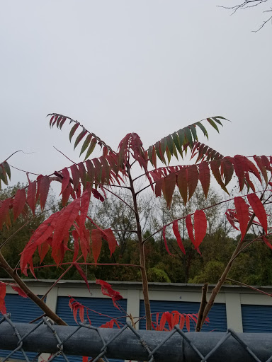 Self-Storage Facility «Hamden Self Storage», reviews and photos, 34 Raccio Park Rd, Hamden, CT 06514, USA