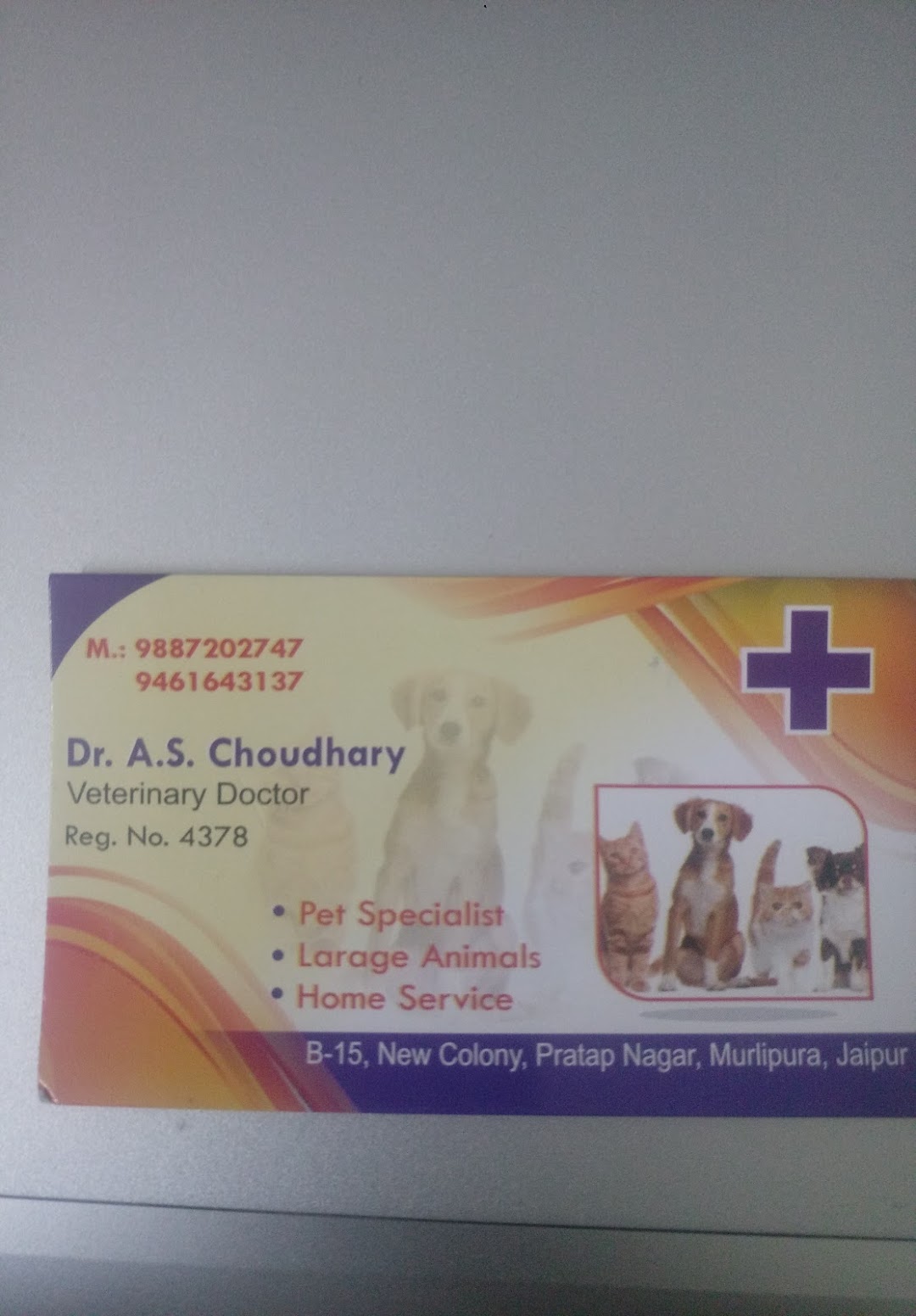 Dr A S Choudhary Veterinary Doctor Smile Pet Clinic In The City Jaipur
