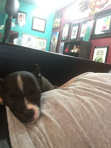 Explore greek mythology tattoo ideas, creative tattoo ideas in San Diego, available at Sideshow Tattoo and Piercing