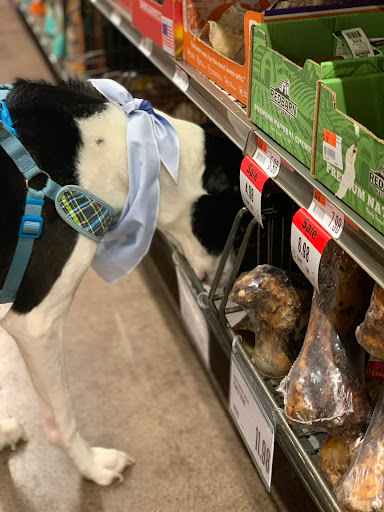 Pet Supply Store «Pet Supplies Plus», reviews and photos, 1704 Greenville Ave, Dallas, TX 75206, USA