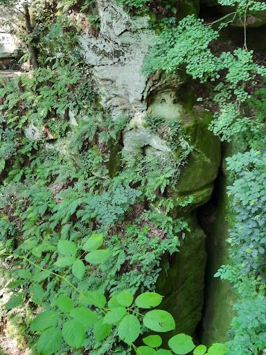 Nature Preserve «Fern Cliff Nature Preserve», reviews and photos, W County Rd 375 S, Greencastle, IN 46135, USA