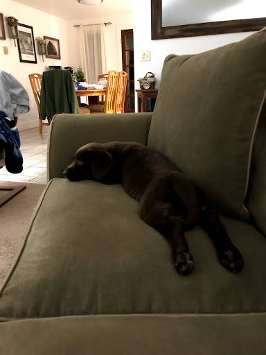 Pet Supply Store «Mud Bay», reviews and photos, 4816 Point Fosdick Dr NW, Gig Harbor, WA 98335, USA