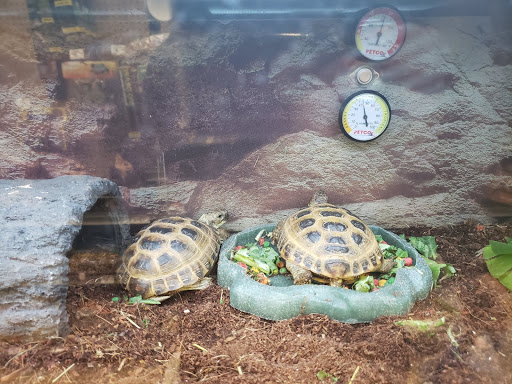 Pet Supply Store «Petco Animal Supplies», reviews and photos, 11331 W Broad St #151, Glen Allen, VA 23060, USA