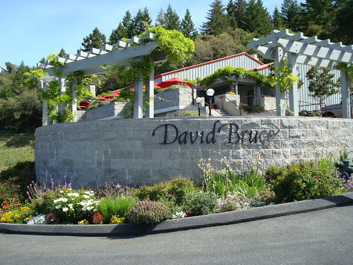 Winery «David Bruce Winery», reviews and photos, 21439 Bear Creek Rd, Los Gatos, CA 95033, USA