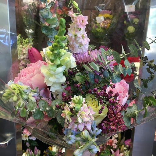 Florist «Alexs East End Floral Shoppe», reviews and photos, 236 Shady Ave, Pittsburgh, PA 15206, USA