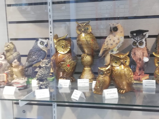 R438+5VJ, C. 8 S-O, Guayaquil 090313