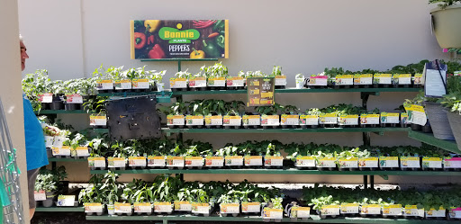 Home Improvement Store «The Home Depot», reviews and photos, 951 Oak Forest Ln, Myrtle Beach, SC 29577, USA