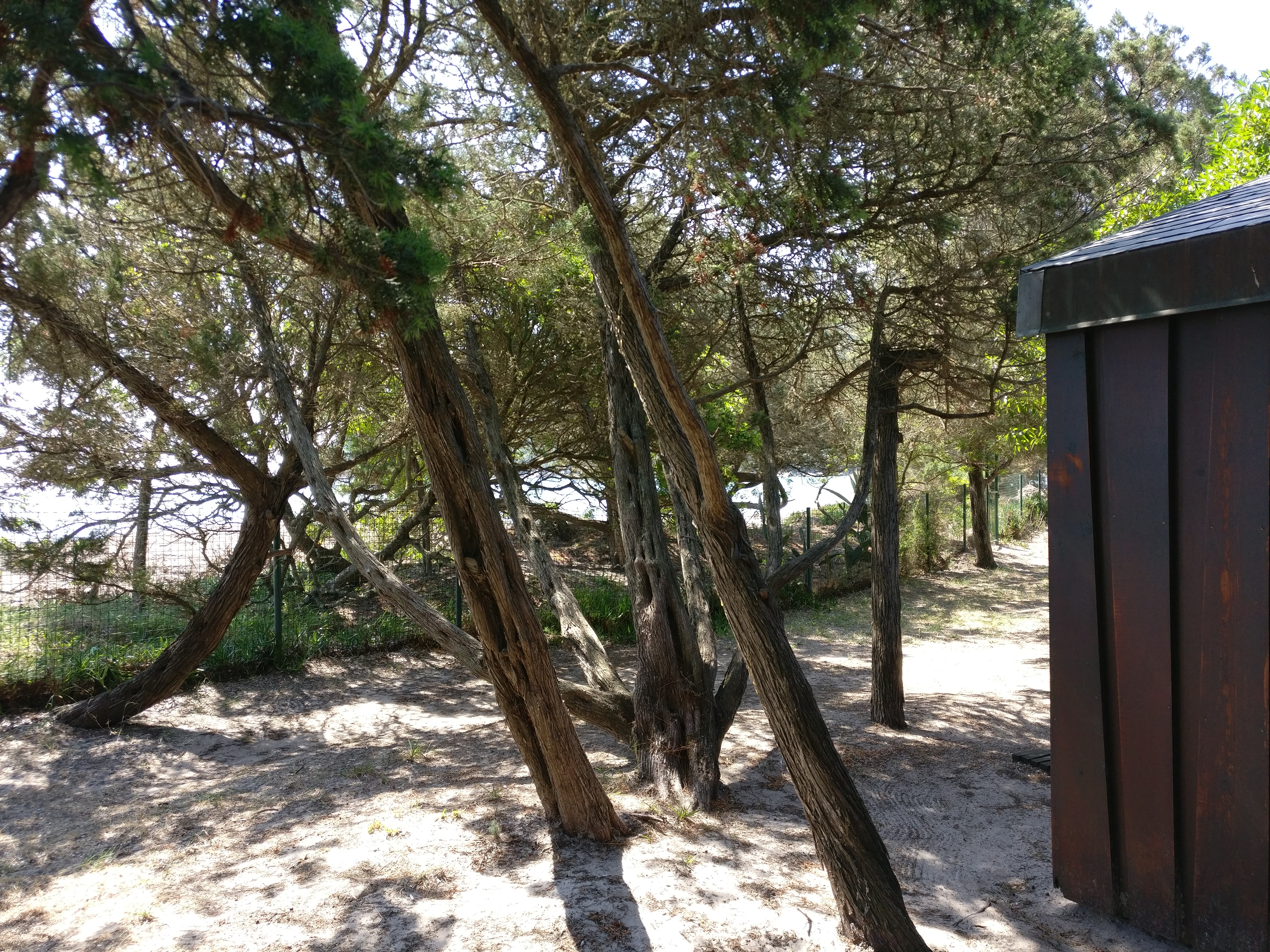 Photo n° 2 de l'avis de Cyril-Marc.u fait le 19/05/2017 à 08:46