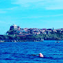 San Paulu - Bateau de Promenades en Mer - Sortie Dauphins - Pêche - Au Cap Corse Rogliano