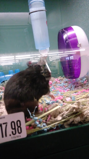 Pet Supply Store «Pet Supplies Plus», reviews and photos, 5315 Airport Hwy, Toledo, OH 43615, USA