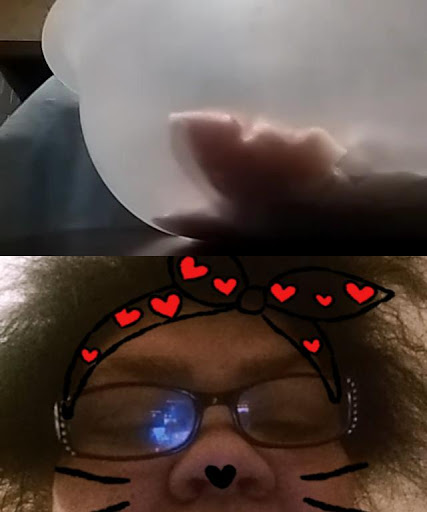 Discount Store «Walmart», reviews and photos, 199 JT Connell Hwy, Newport, RI 02840, USA