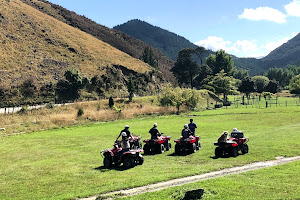 Cable Bay Adventure Park