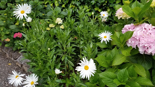 General Store «Carmel Highlands General Store», reviews and photos, 70 CA-1, Carmel-By-The-Sea, CA 93923, USA