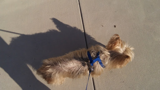 Pet Supply Store «PetSmart», reviews and photos, 919 Lakeland Park Center Dr Unit 380, Lakeland, FL 33809, USA