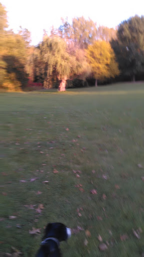 Public Golf Course «Harbour Club Golf Course & Practice Facility», reviews and photos, 49000 Denton Rd, Belleville, MI 48111, USA