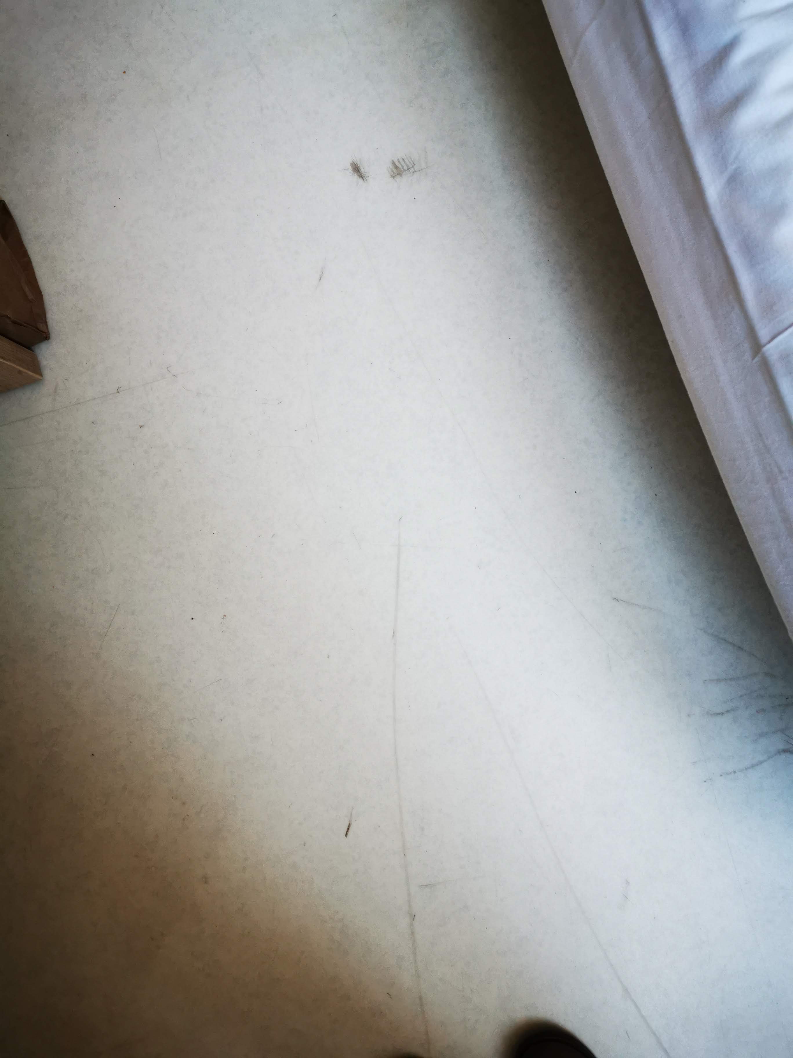 Photo n° 14 de l'avis de Martin.m fait le 10/03/2021 à 11:13