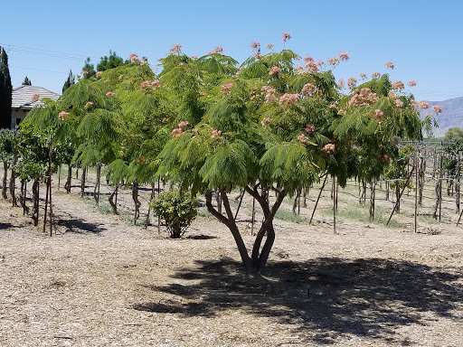 Winery «Sanders Family Winery», reviews and photos, 3780 E Kellogg Rd, Pahrump, NV 89061, USA