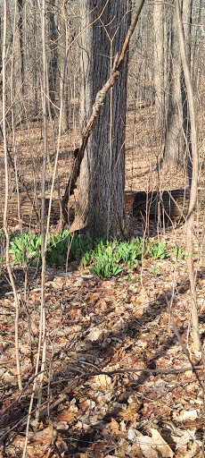 Nature Preserve «DeVries Nature Conservancy», reviews and photos, 2635 N Michigan 52, Owosso, MI 48867, USA