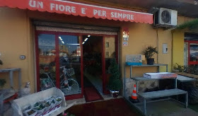 Un Fiore è Per Sempre Frosinone