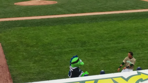 Stadium «Centennial Field», reviews and photos, 287 Colchester Ave, Burlington, VT 05401, USA