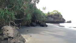 Fotografie cu Bonian Beach zonă sălbatică