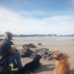 Photo n° 3 de l'avis de Jean.a fait le 15/06/2024 à 12:17 pour Clinique vétérinaire de la Dague à Pons