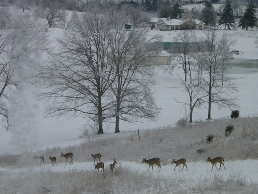 Golf Club «Northern Kentucky Golf Club», reviews and photos, Country Club Dr, Butler, KY 41006, USA