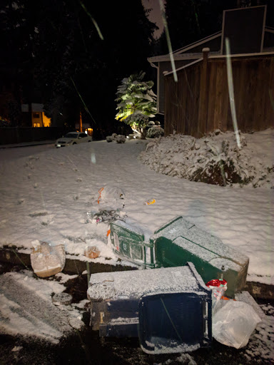 Park «132nd Square Park», reviews and photos, 13159 132nd Ave NE, Kirkland, WA 98034, USA