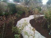 Brandon Landscaping - Photo 7 - Car repair in Vancouver, WA, Vancouver