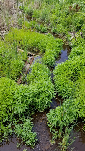 Nature Preserve «Lockport Prairie Nature Preserve», reviews and photos, Broadway St, Lockport, IL 60441, USA