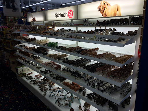 Toy Store «King Arthurs Court Toys», reviews and photos, 3040 Madison Rd, Cincinnati, OH 45209, USA