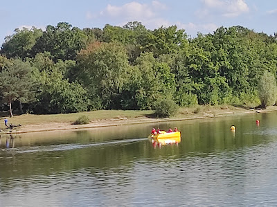 Étang de Goule à Valigny