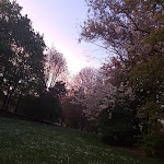 Photo n° 2 de l'avis de Chichi.11..a fait le 18/04/2018 à 18:53 pour Parc Départemental de L'İle-Saint-Denis à L'Île-Saint-Denis