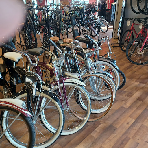 Bicycle Store «Village CycleSport», reviews and photos, 1326 N Rand Rd, Arlington Heights, IL 60004, USA
