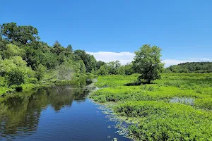 Mass Audubon's Ipswich River Wildlife Sanctuary image