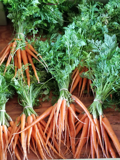 Farm «Sweetwater Organic Community Farm», reviews and photos, 6942 W Comanche Ave, Tampa, FL 33634, USA