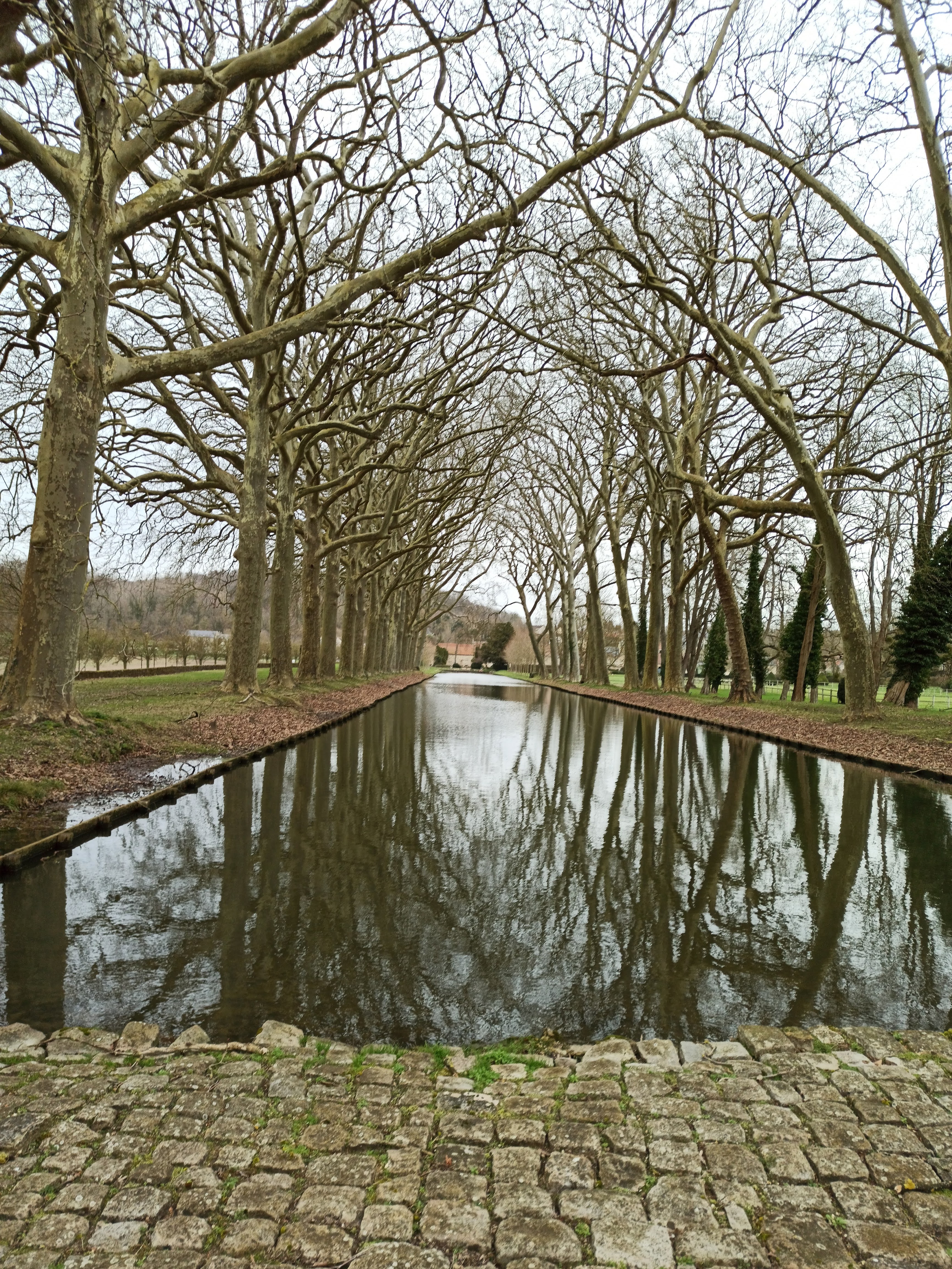 Photo n° 3 de l'avis de Cecile.a fait le 17/02/2020 à 20:22